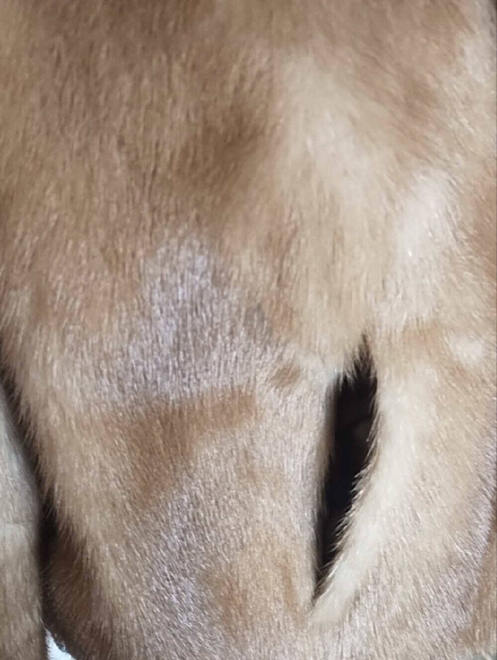 Luxury Classic Genuine Mink Fur Cropped Swing Jacket in Autumn Haze Pockets - Picture 4 of 16
